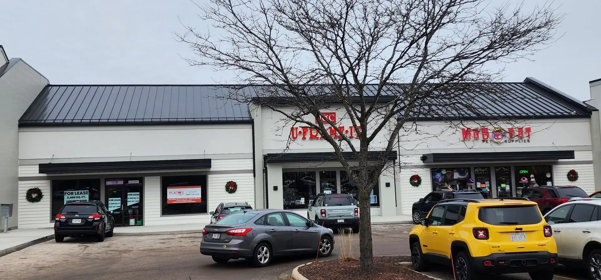 A strip mall with a tree in front. Buildings have dark roofs and red store signage. Cars are parked in front. Strip mall storefronts with parked cars, including a yellow SUV, on an overcast day