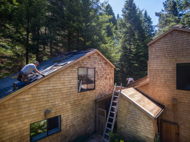 Workers repairing a roof on two cedar-shingle buildings in a wooded area, with a ladder between them.