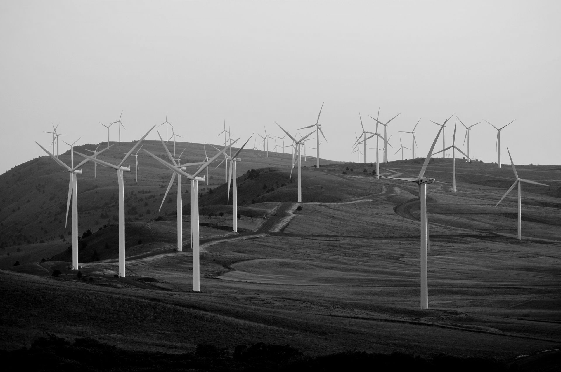 Wind turbines on a grassy hilltop, generating renewable energy.