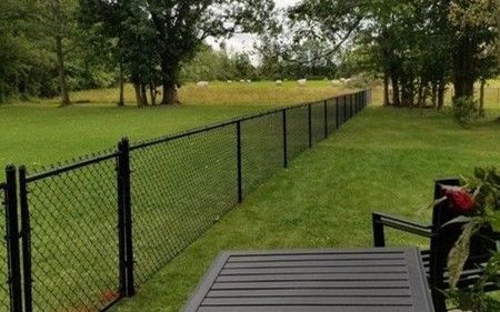 Long black chain-link fence running along a spacious green backyard.