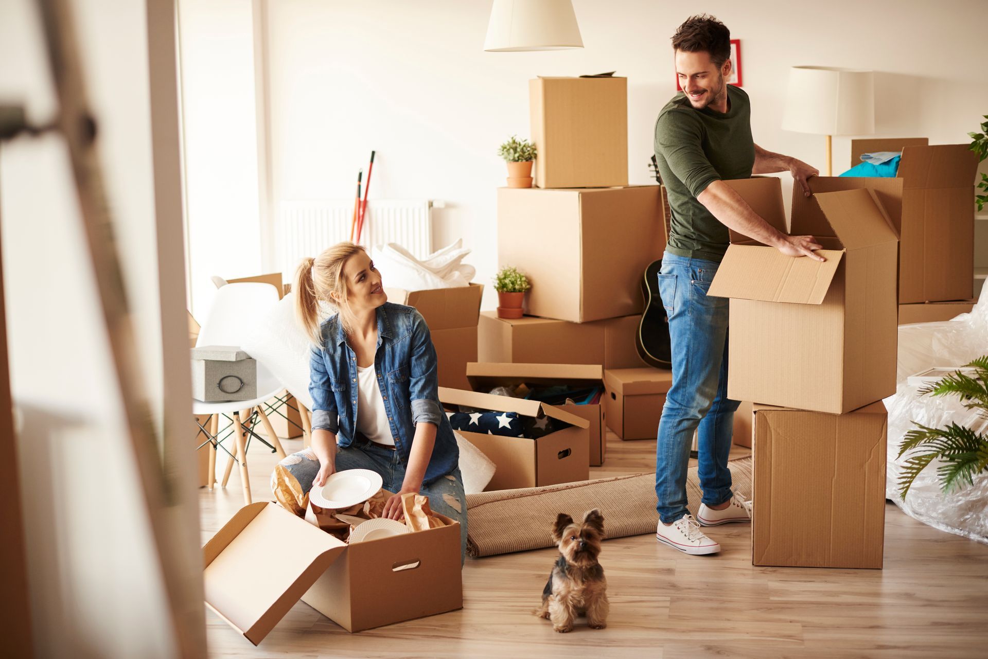 A couple packing cardboard boxes in a bright, sunlit living room with their small dog standing nearby.