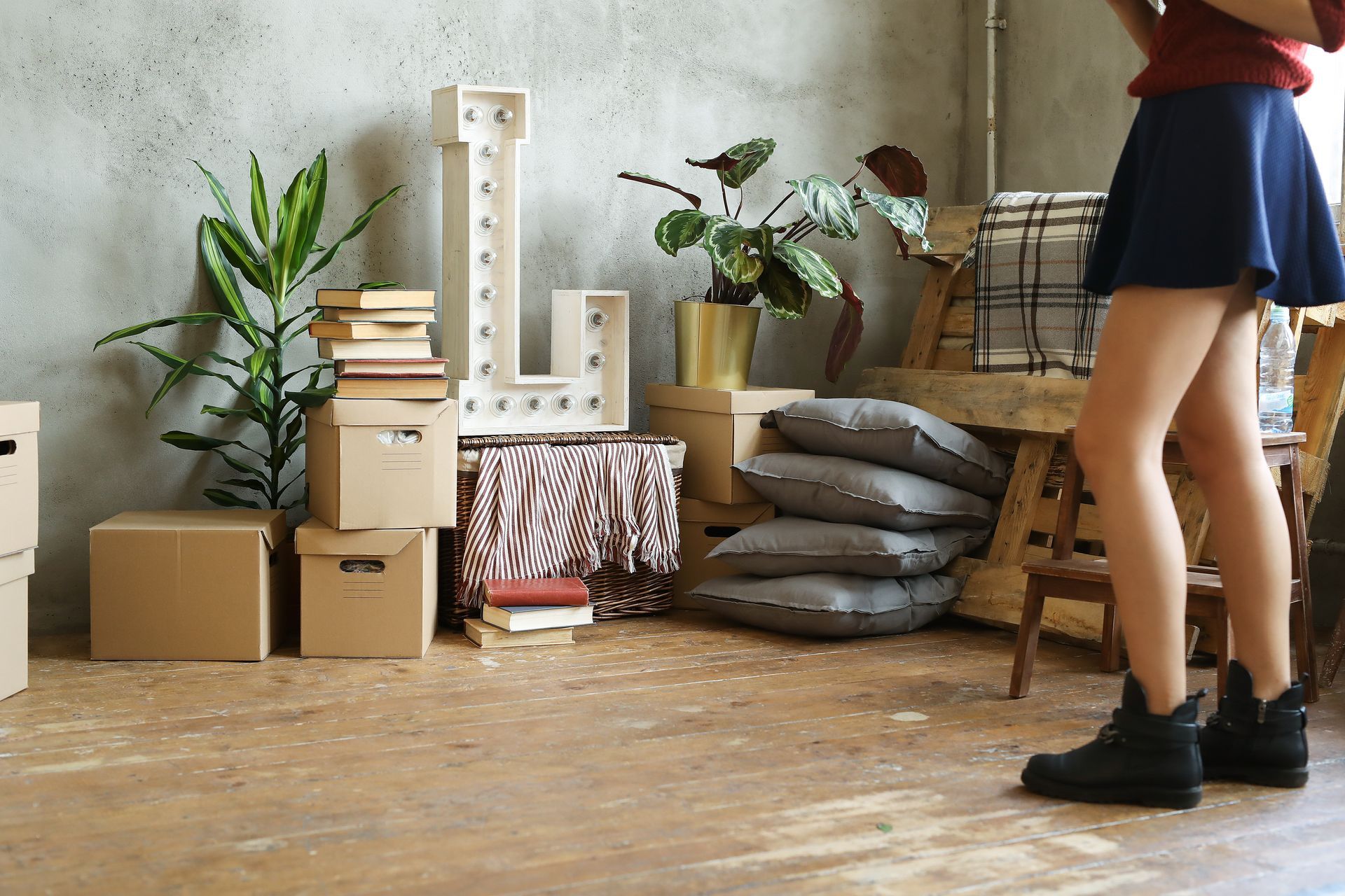 A living room filled with cardboard boxes and a plant.