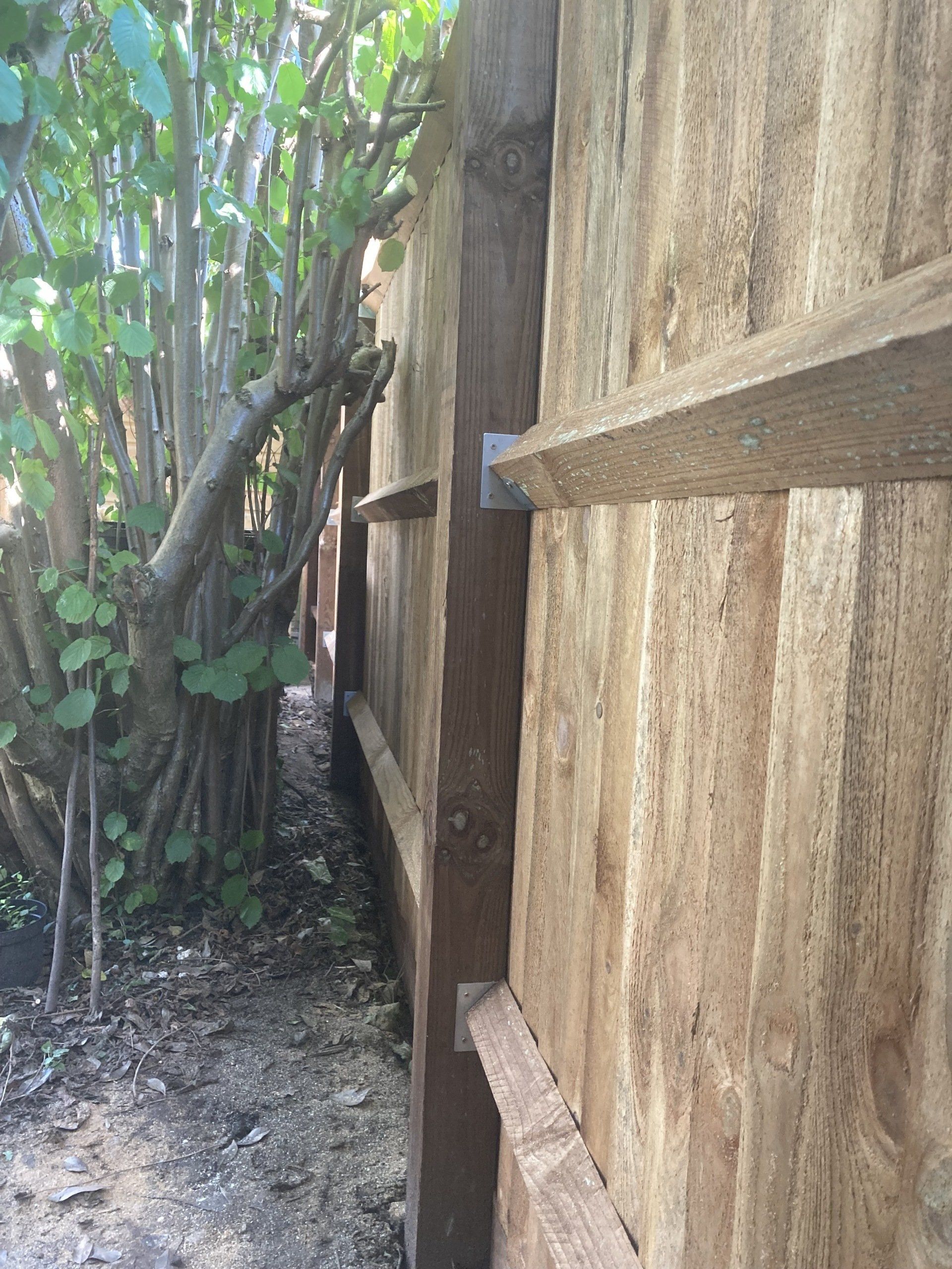Feather edge fencing