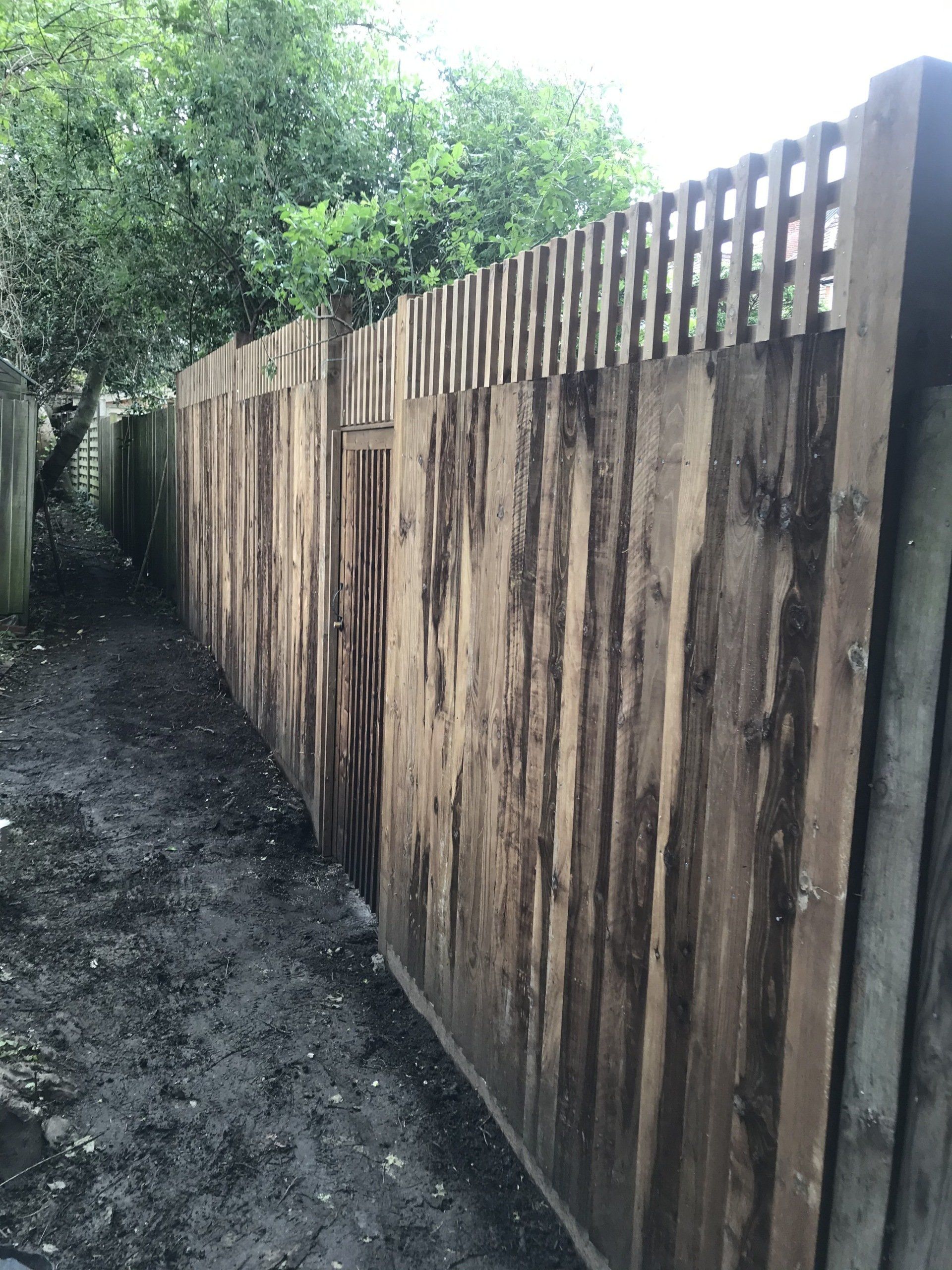 Featherhedge Fence and gate 