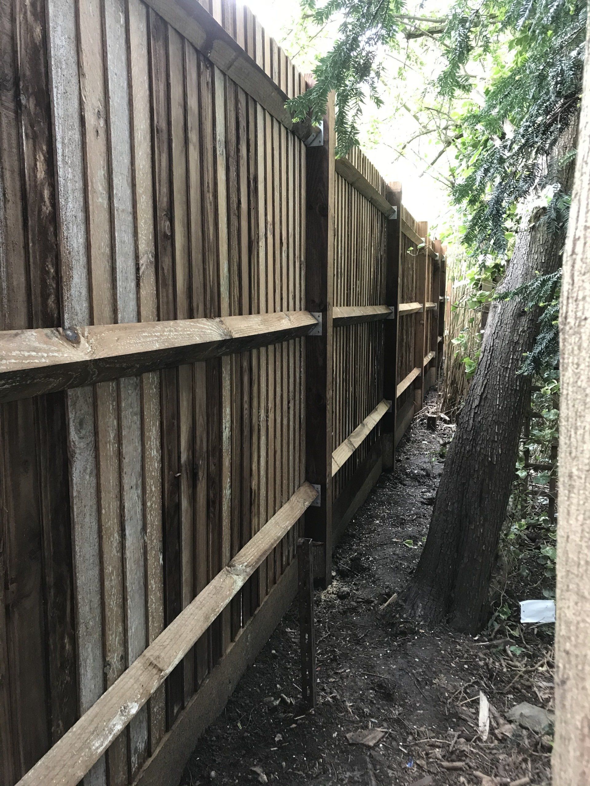 Feather edge fencing

