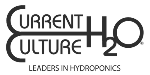 Current Culture H2O Logo