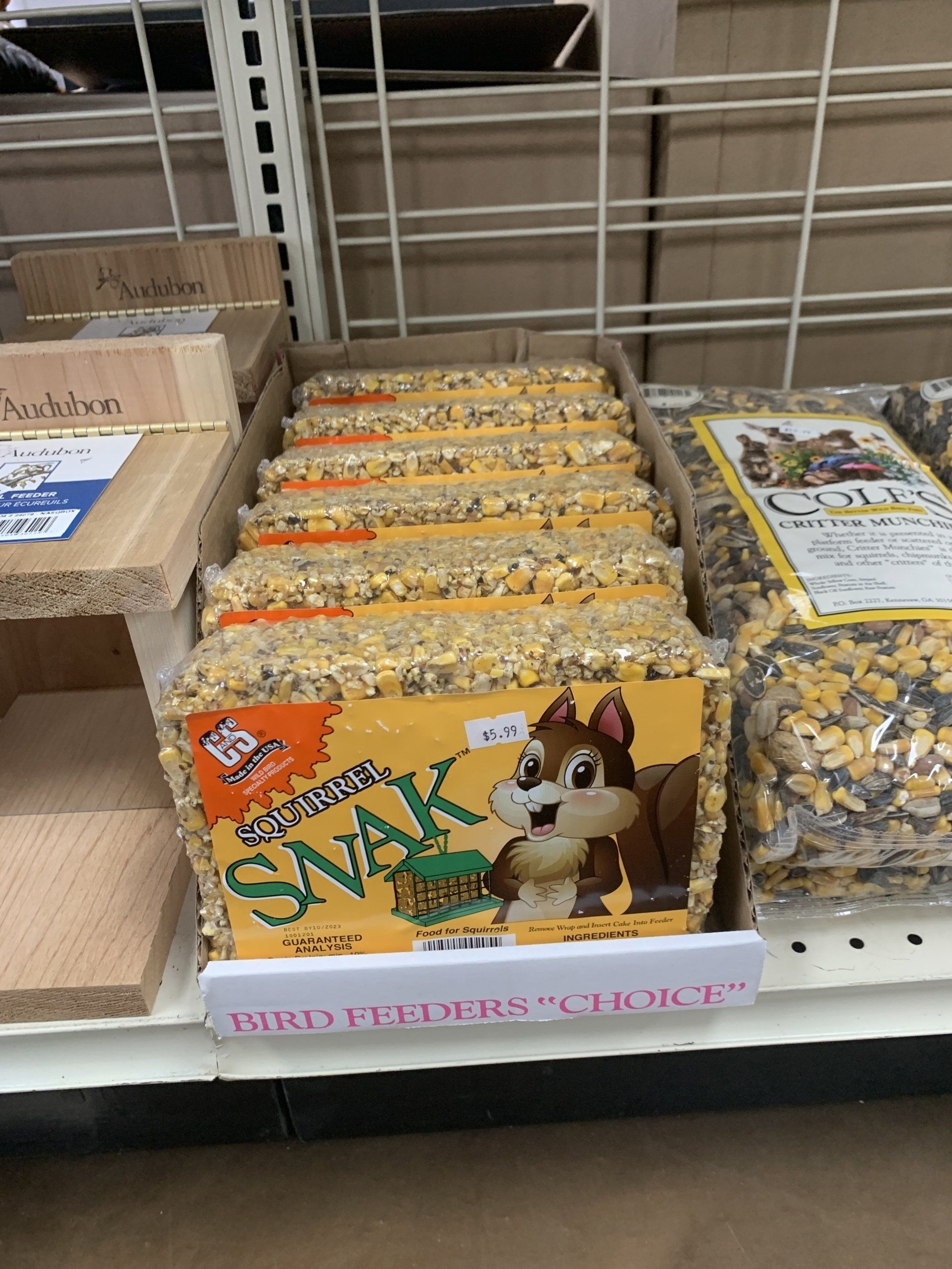 Squirrel Snack Squirrel Feed