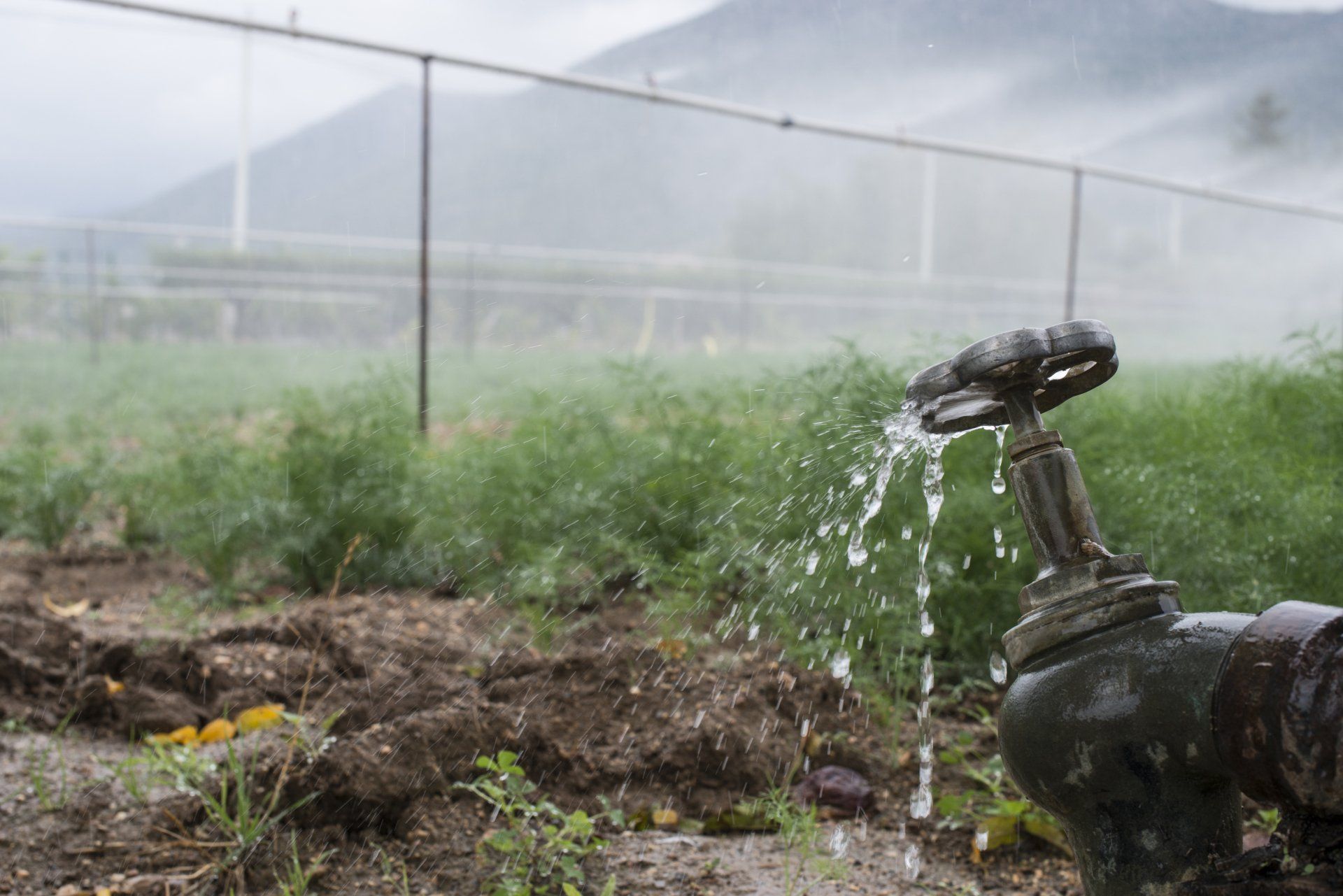 A faucet is leaking water in a field.