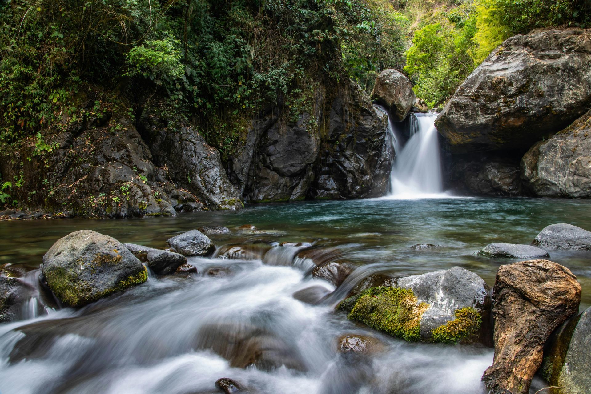 Rocky forest stream with a small waterfall and clear water flowing over mossy stones