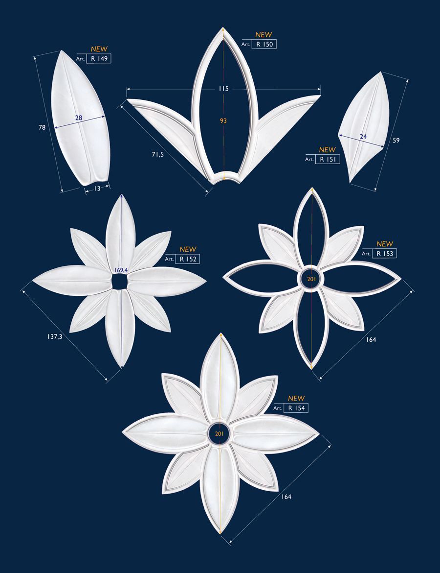 Schizzi di petali di fiori bianchi e motivi floreali assemblati su uno sfondo blu scuro.