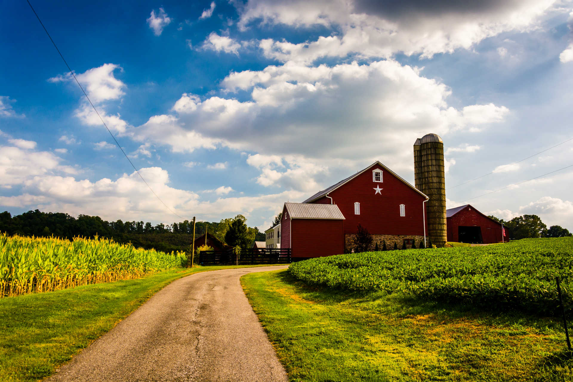 Red barn with silo and gravel road on a sunny farm, cornfield on the left, blue sky with clouds.