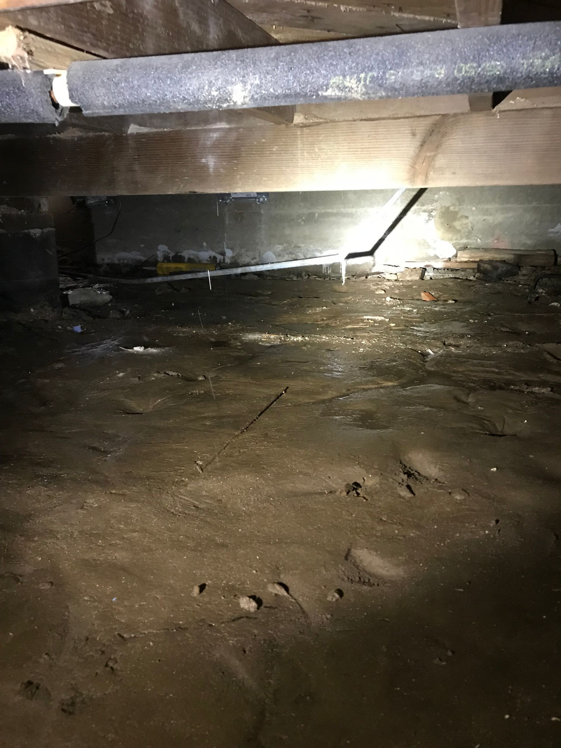 Low-ceiling crawlspace with dirt floor, beams overhead, and a bright flashlight glare in the back.