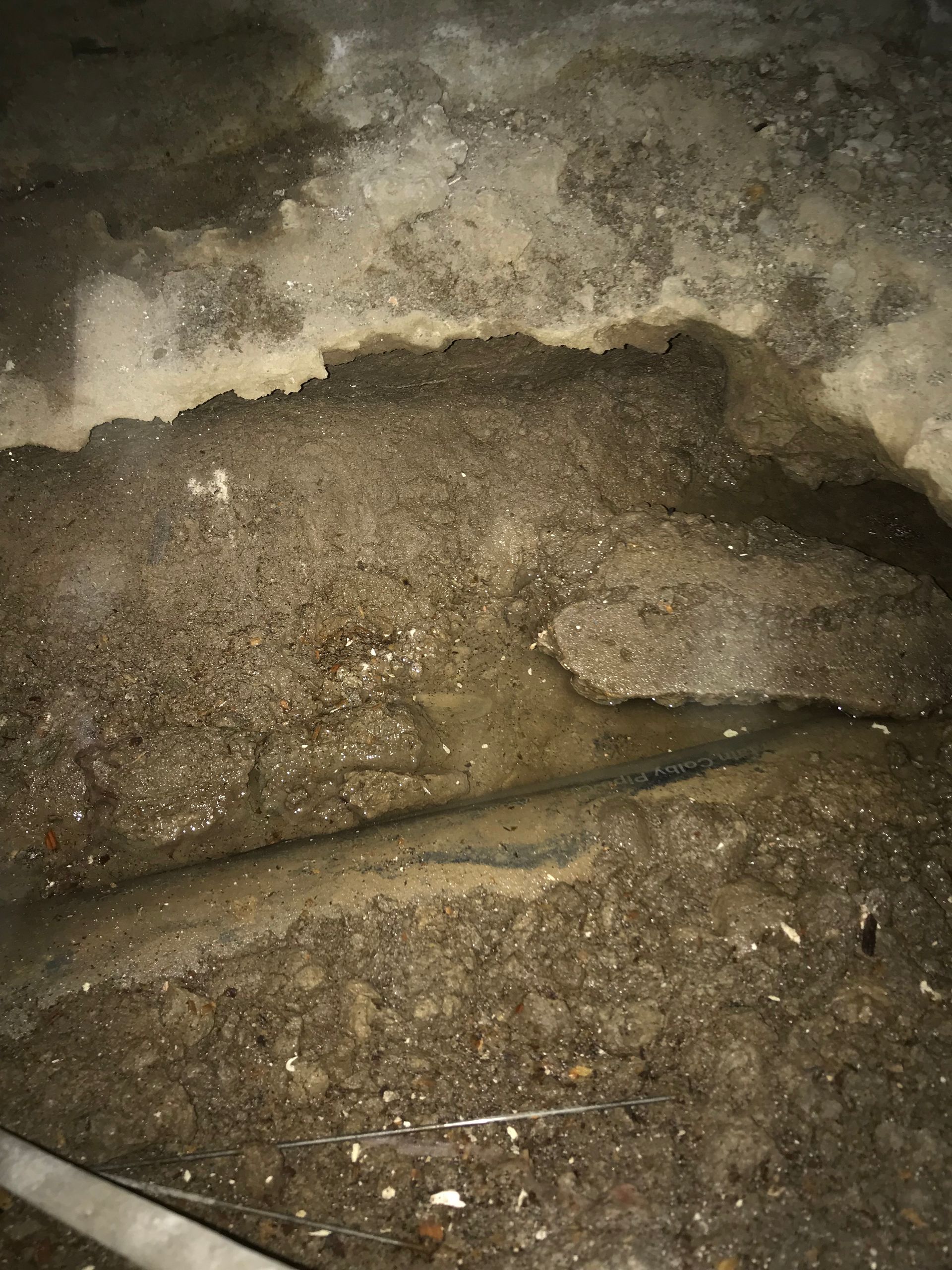 Mud and wet debris under a patch of melting snow at night