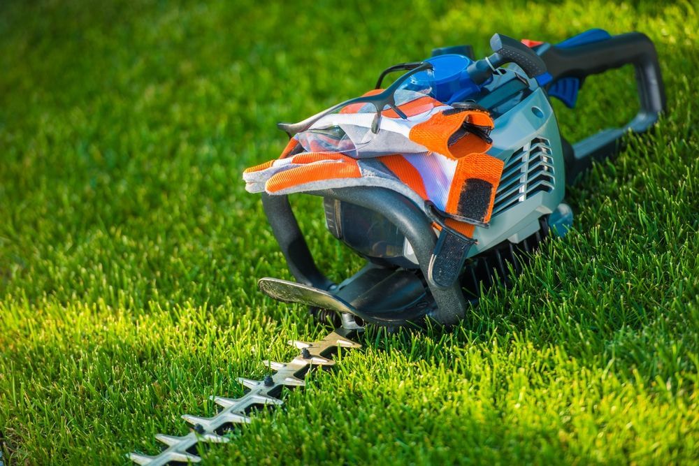Hedge Trimmer Resting on Green Grass, Orange and Blue Accents Visible — Hanta Mowing Services Townsville in Kirwan, QLD