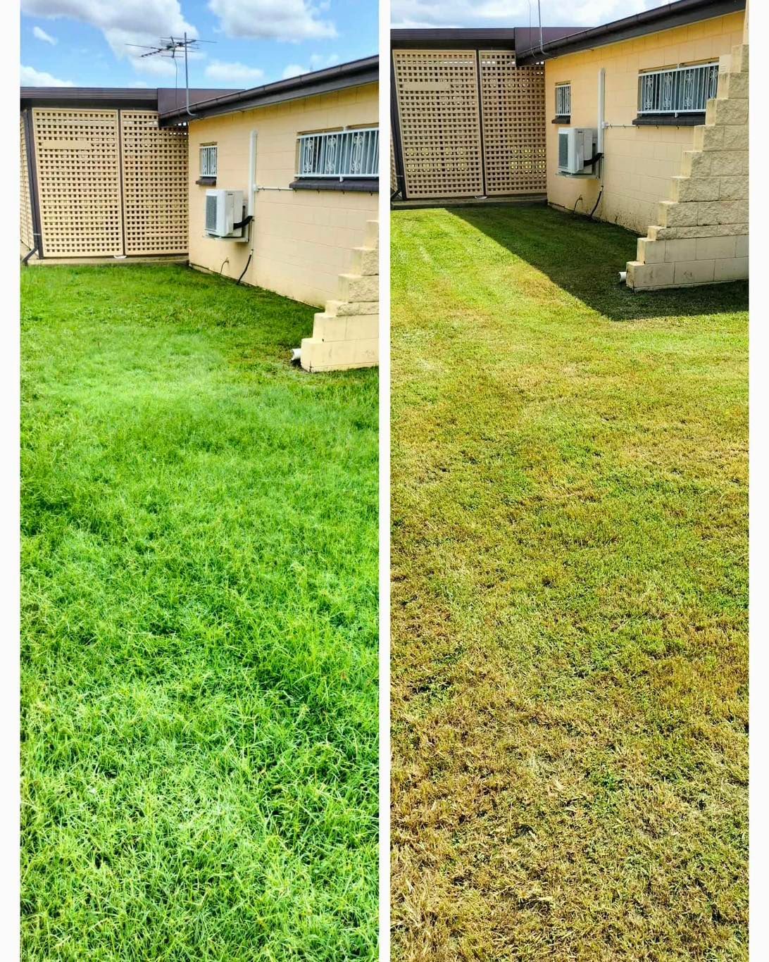 Lush Green Lawn Contrasts With a Dry, Brown Lawn in a Side-by-side — Hanta Mowing Services Townsville in Kirwan, QLD