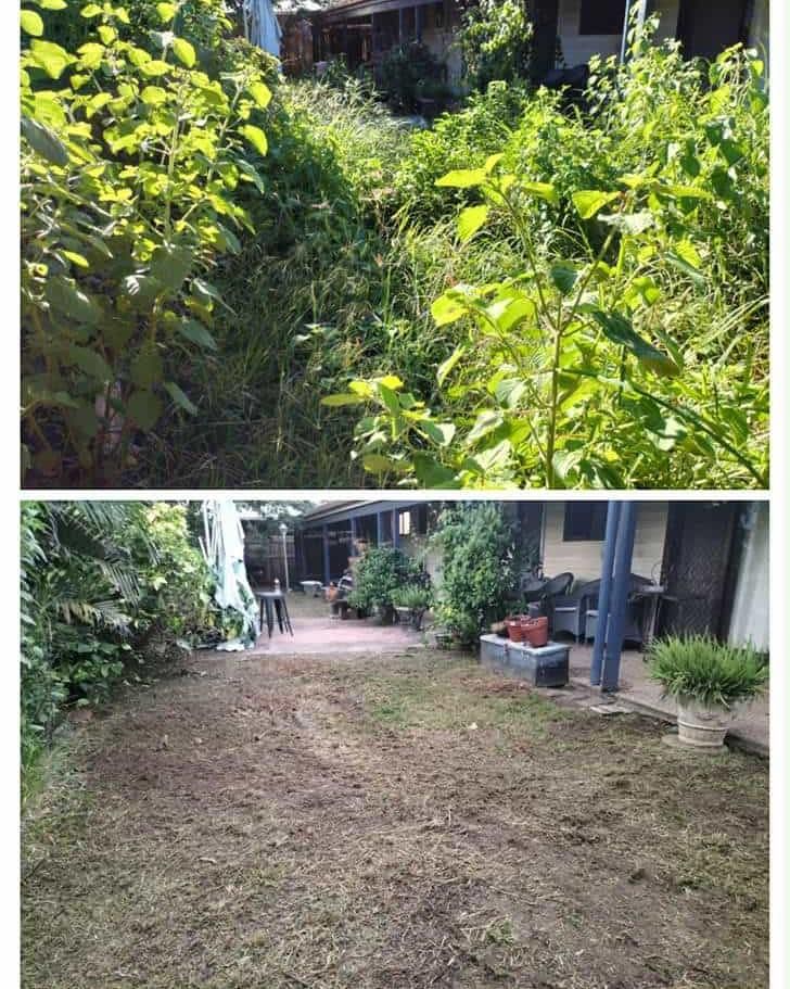 Before and After Photos of a Backyard: Overgrown Weeds — Hanta Mowing Services Townsville in Kirwan, QLD