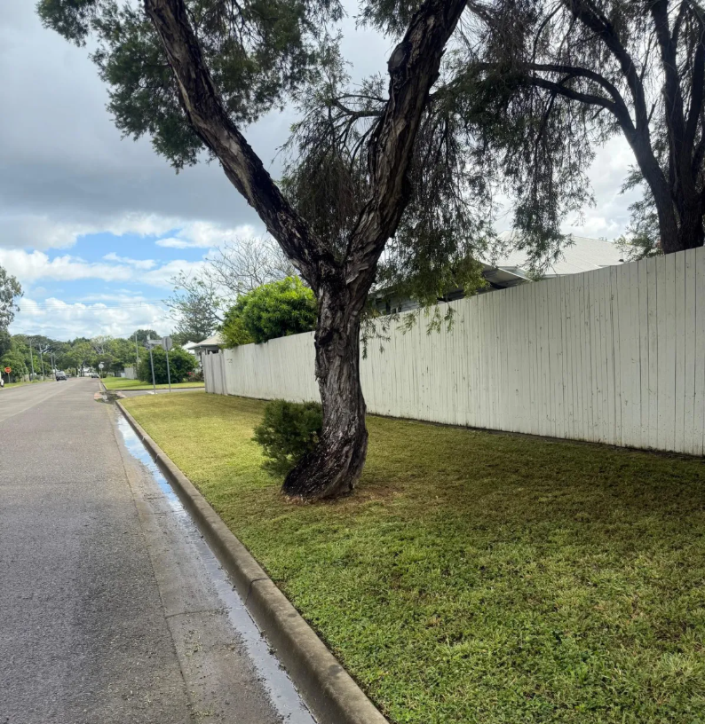 Tree Next to a Curb and Grass, With a White Fence in the Background — Hanta Mowing Services Townsville in Kirwan, QLD