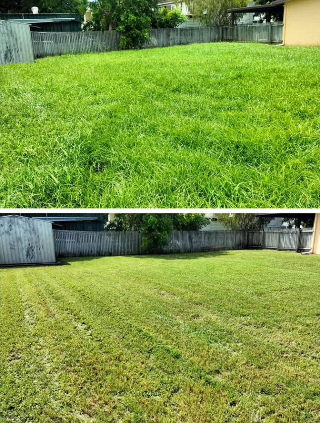 Black Lawnmower On Green Grass, Used In A Garden With Foliage Background — Hanta Mowing Services Townsville in Kirwan, QLD