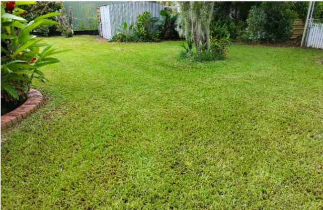 Lush Green Garden With A Neatly Trimmed Lawn And Various Flowering Plants — Hanta Mowing Services Townsville in Kirwan, QLD