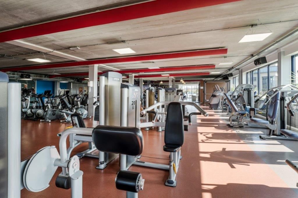 Modern gym interior with exercise machines, mirrors, and red ceiling beams