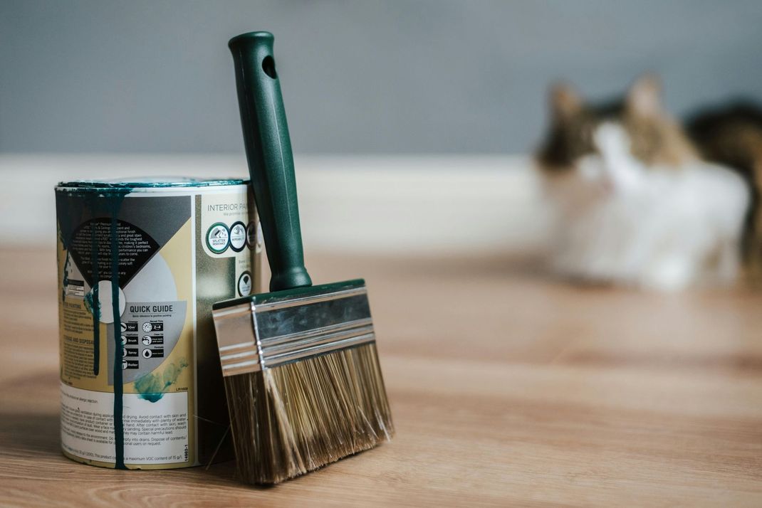A can of paint and two brushes on a wooden table with a cat in the background.