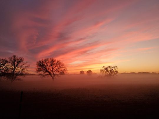 A sunset over a foggy field with trees in the foreground.