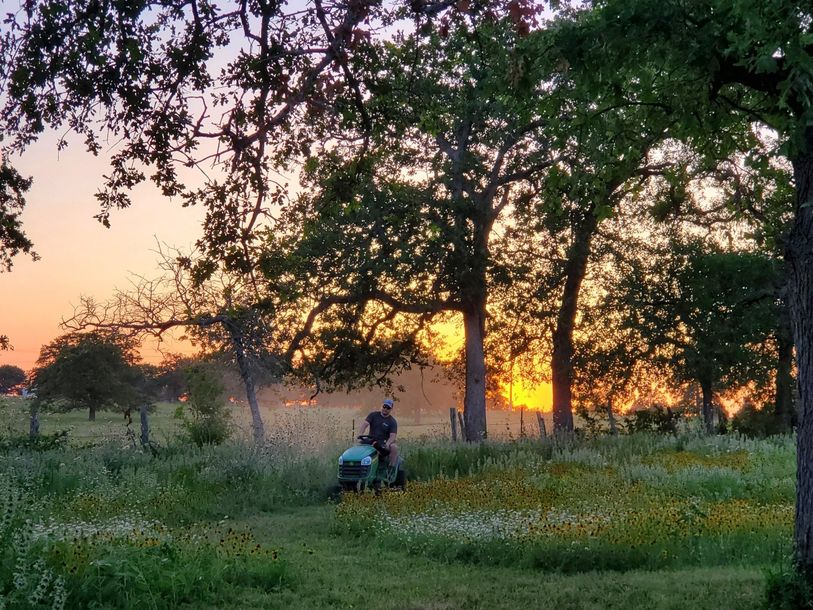 A man is riding a lawn mower in a field at sunset