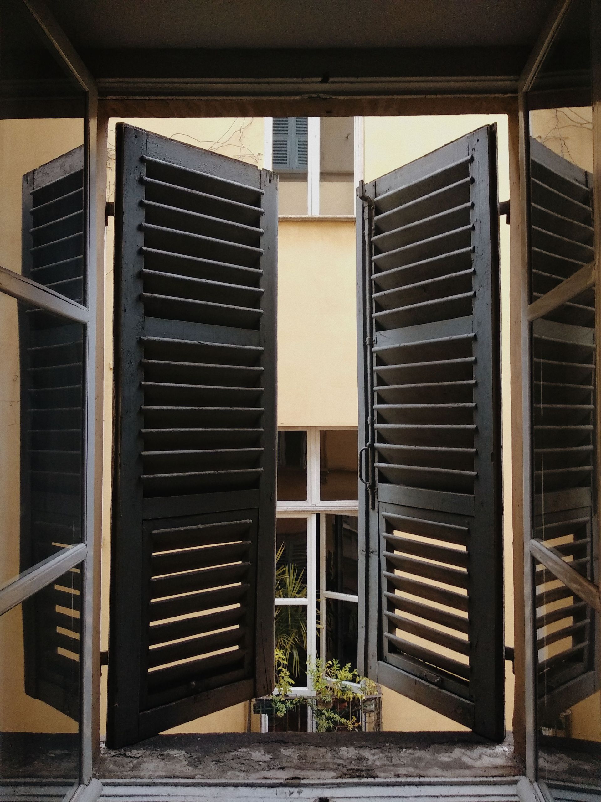 Open black shutters framing a courtyard with plants and a beige building beyond.