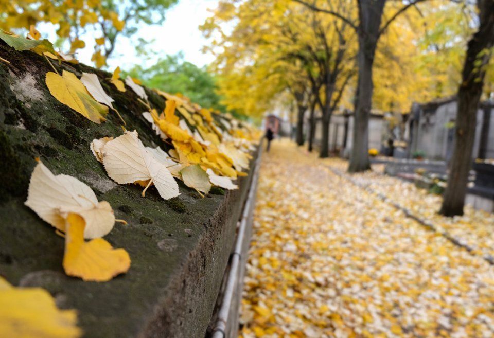 cimitero