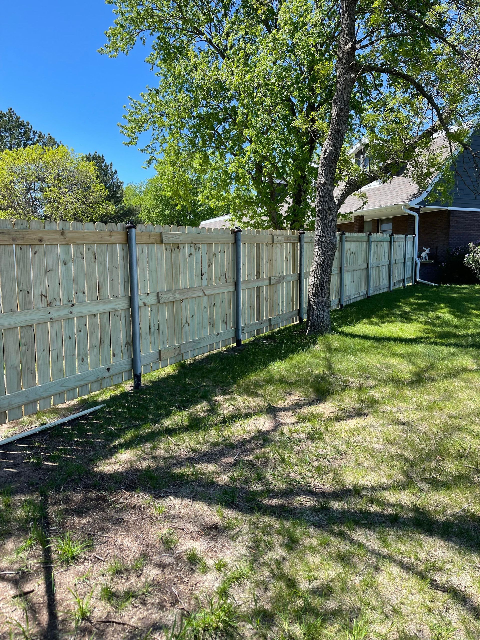 Sunny backyard with a white wooden fence, green trees, and a grassy lawn with tree shadows