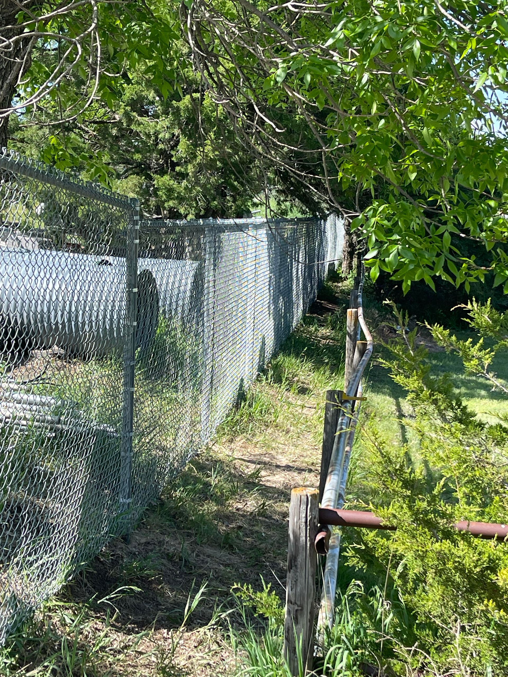 Chain-link fence along a narrow grassy path under leafy trees in a sunny outdoor area