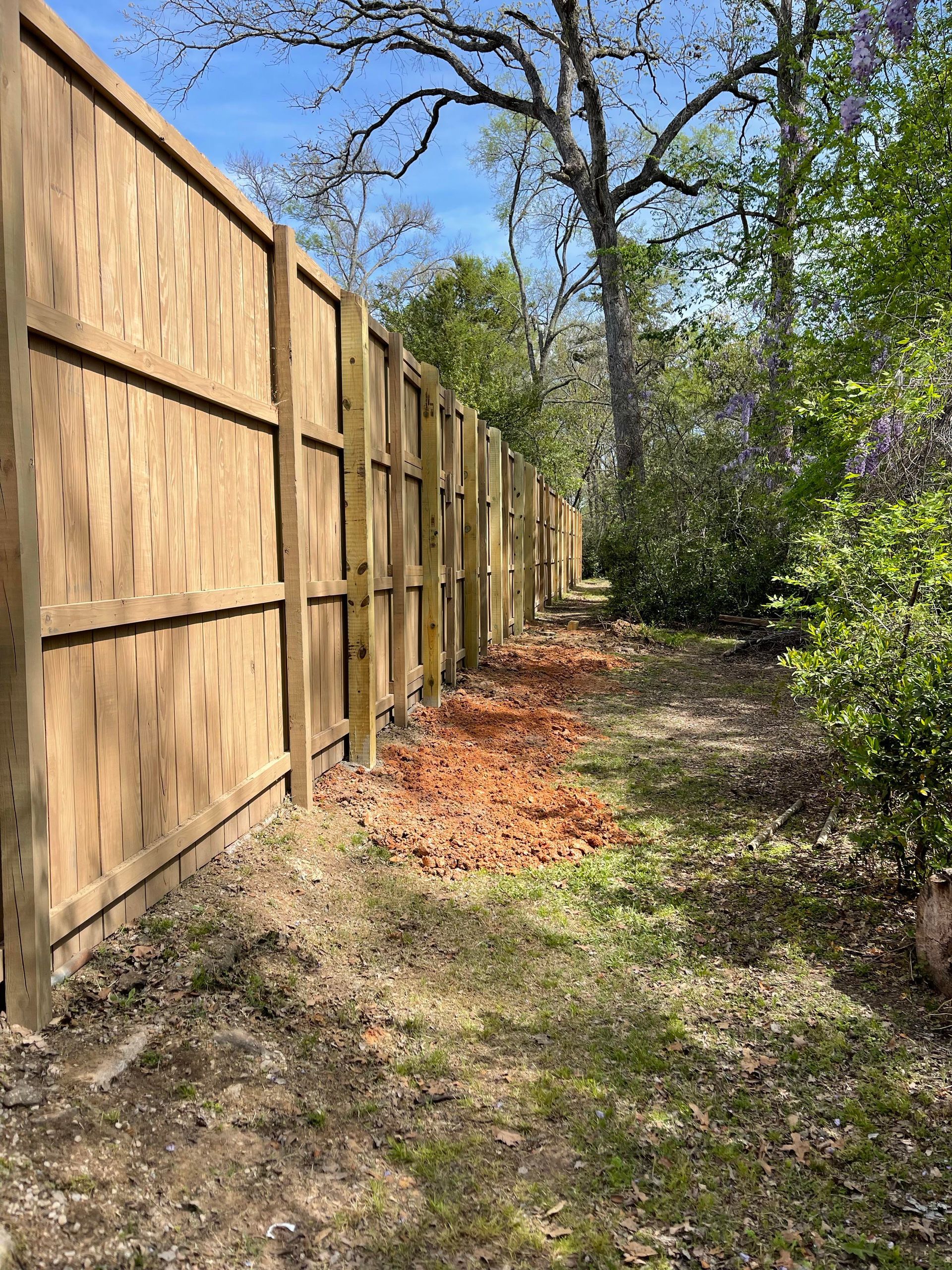 Wooden privacy fence along a narrow grassy path with trees and shrubs beside it.