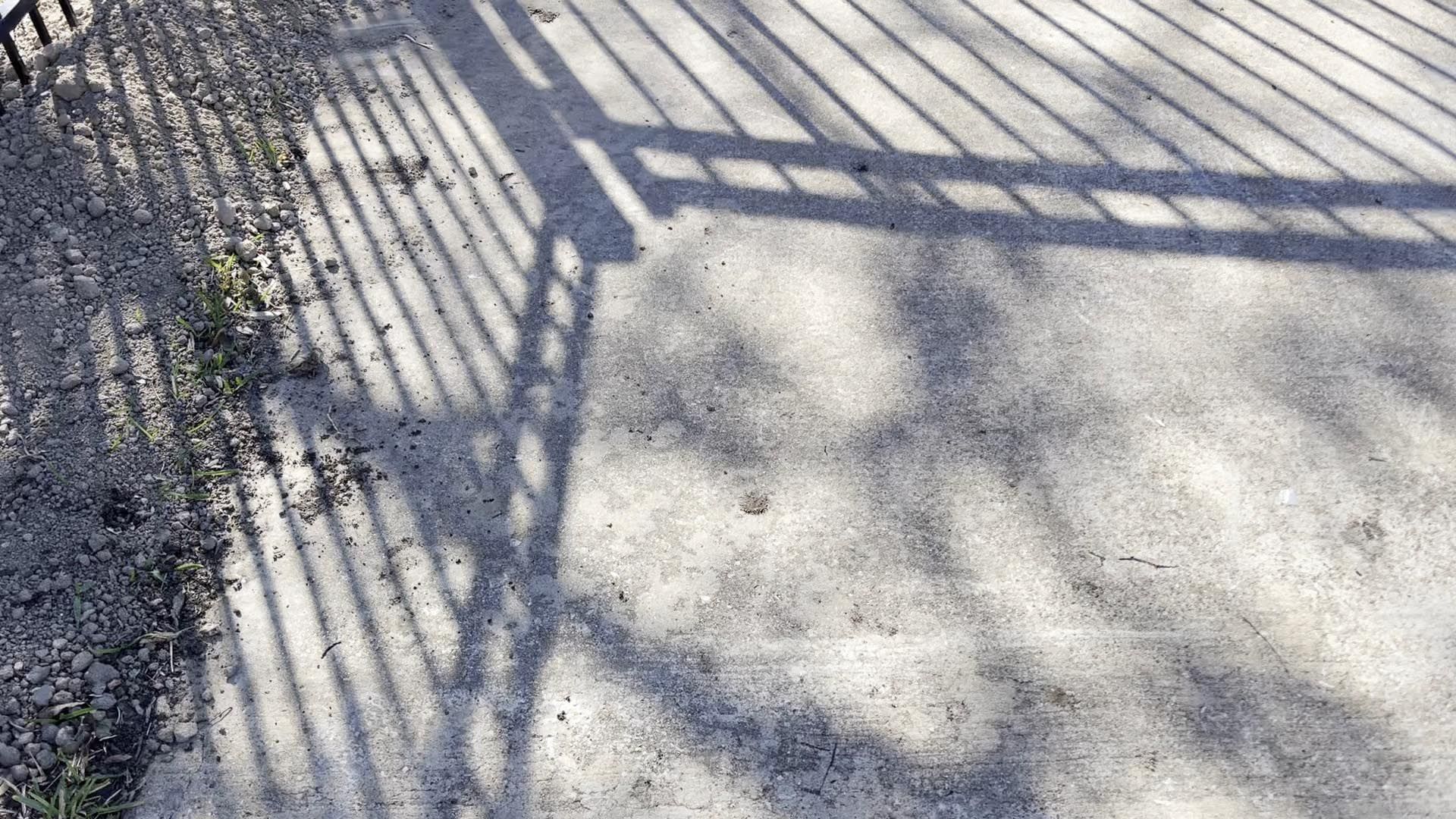 Shadow of a metal fence cast across a sunlit concrete path.
