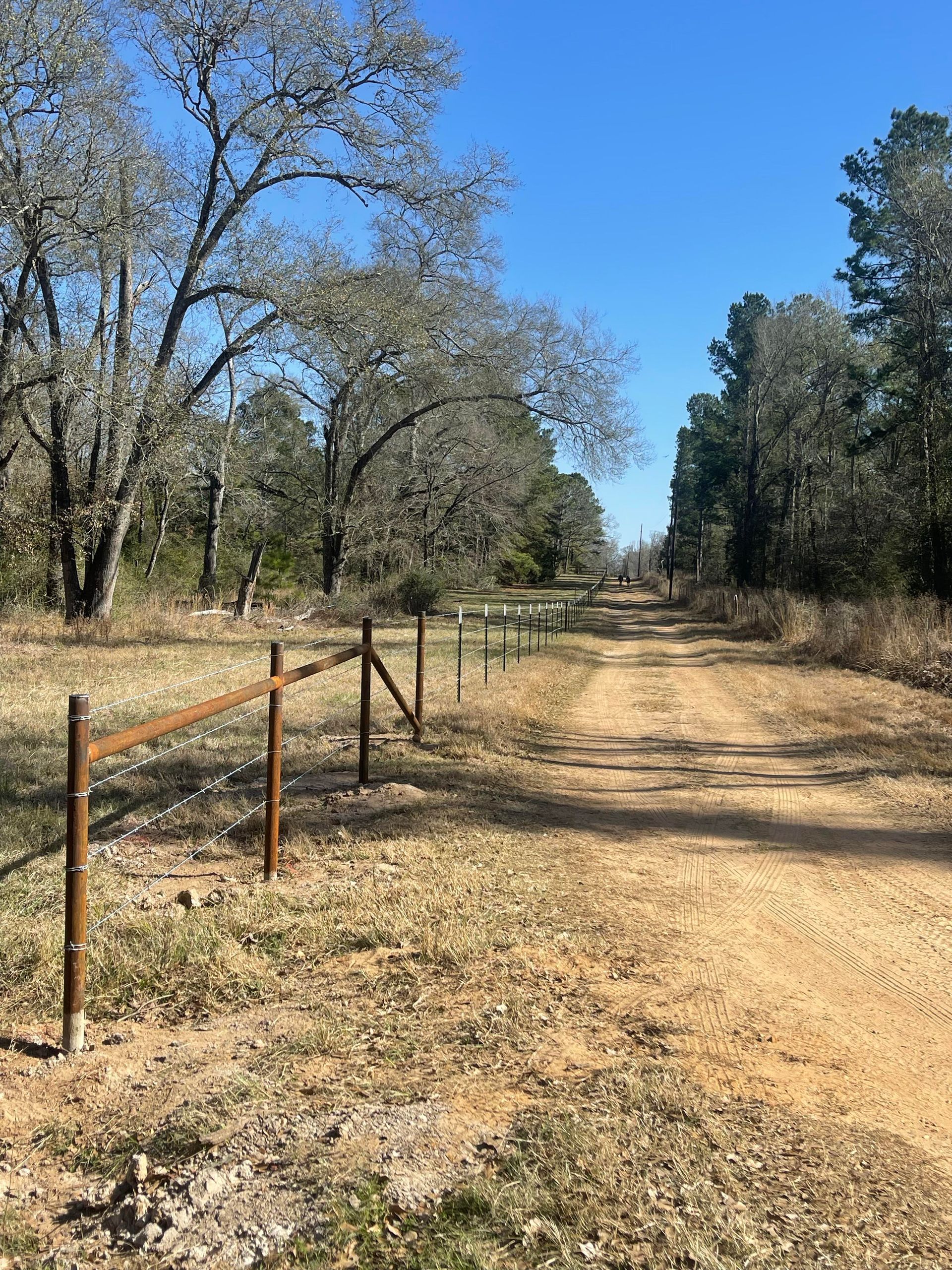 Dirt path with wooden fence through a dry, wooded area under a clear blue sky