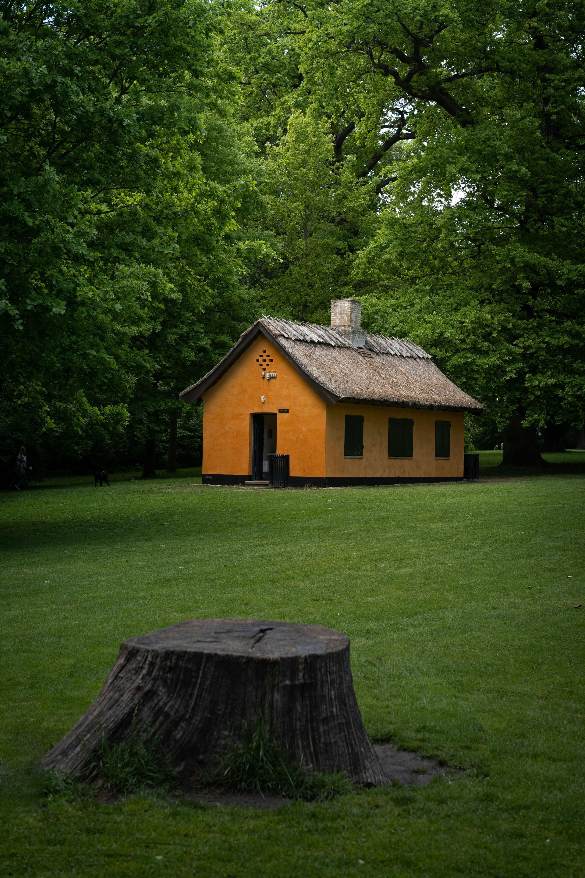 Orange cottage in a green forest clearing with a tree stump in the foreground