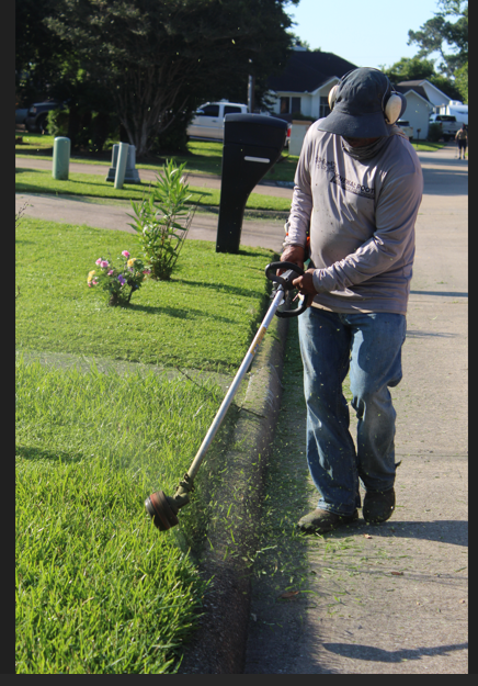 A person wearing a cap and ear protection uses a string trimmer to edge a green lawn along a concrete sidewalk.