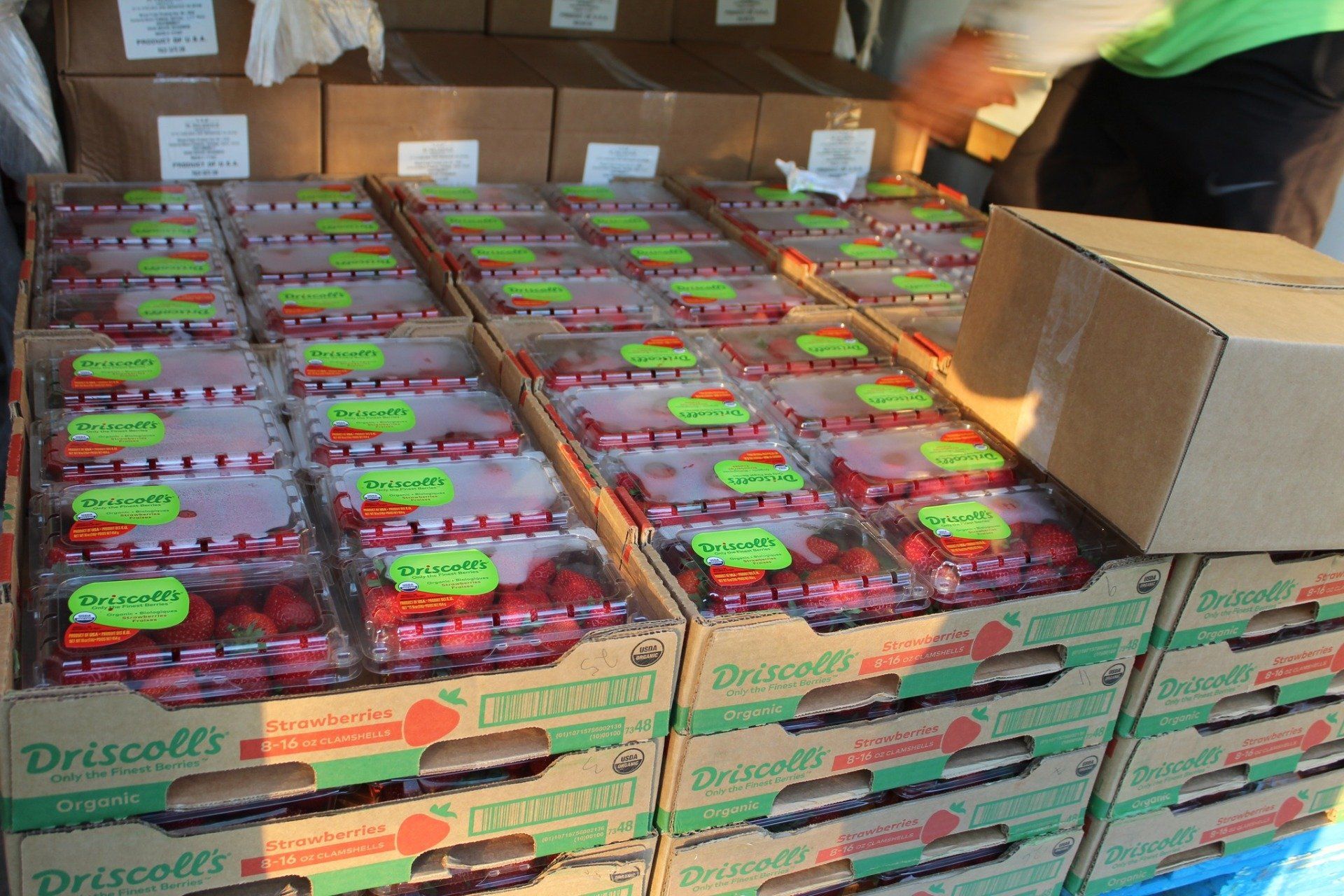 Stacks of Driscoll’s brand strawberry containers packaged in cardboard boxes on a pallet.