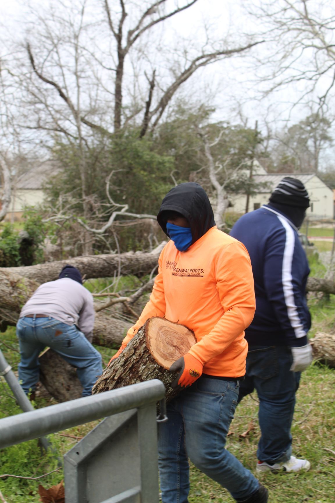 Three people work outdoors to clear fallen tree logs in a grassy area on an overcast day.
