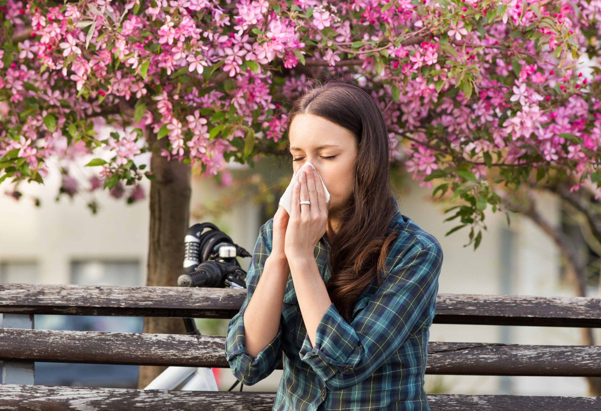 Woman sneezing, holding tissue to her nose, under a blooming pink tree.