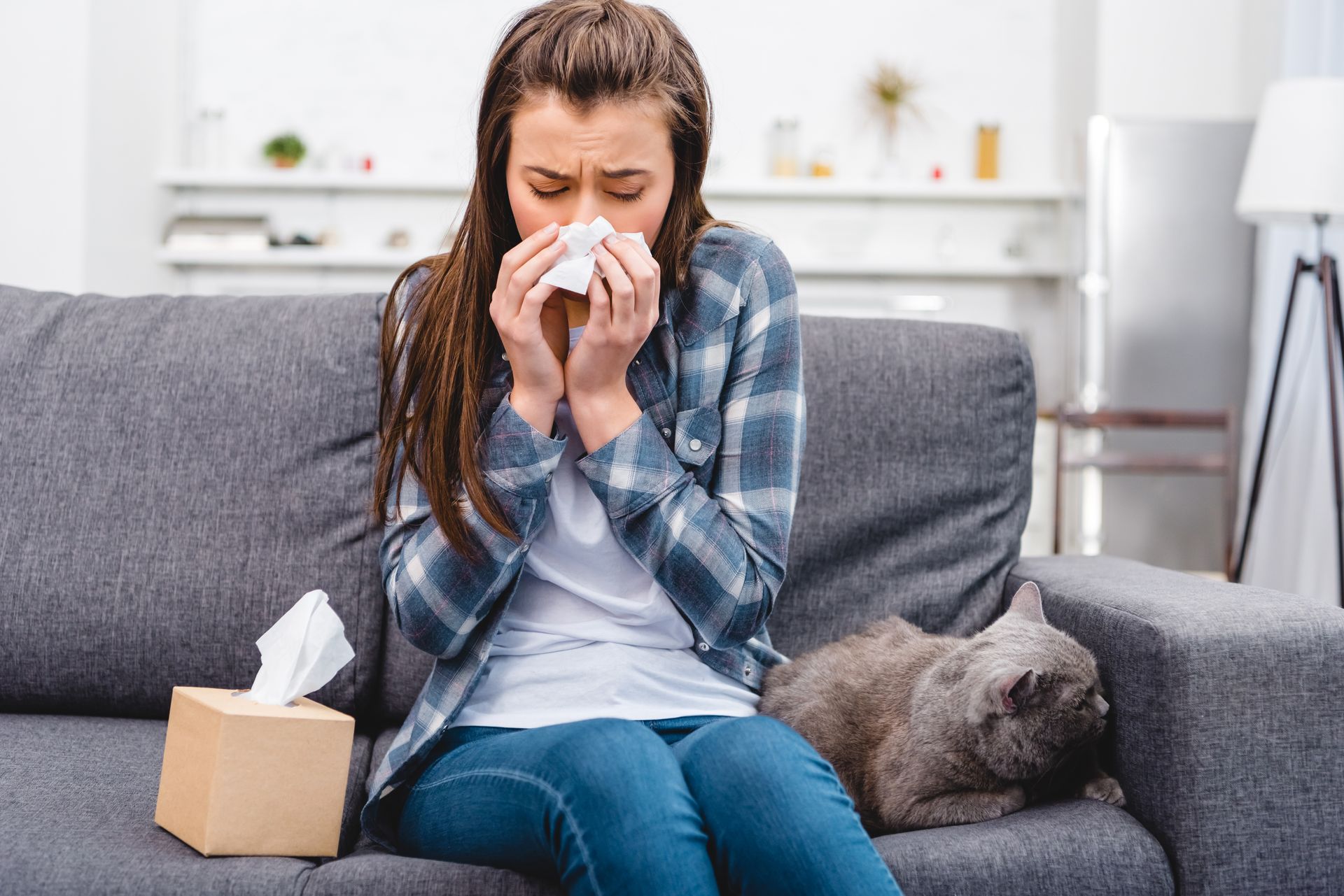 Navigating Pet Allergies: Insights for Pet Lovers