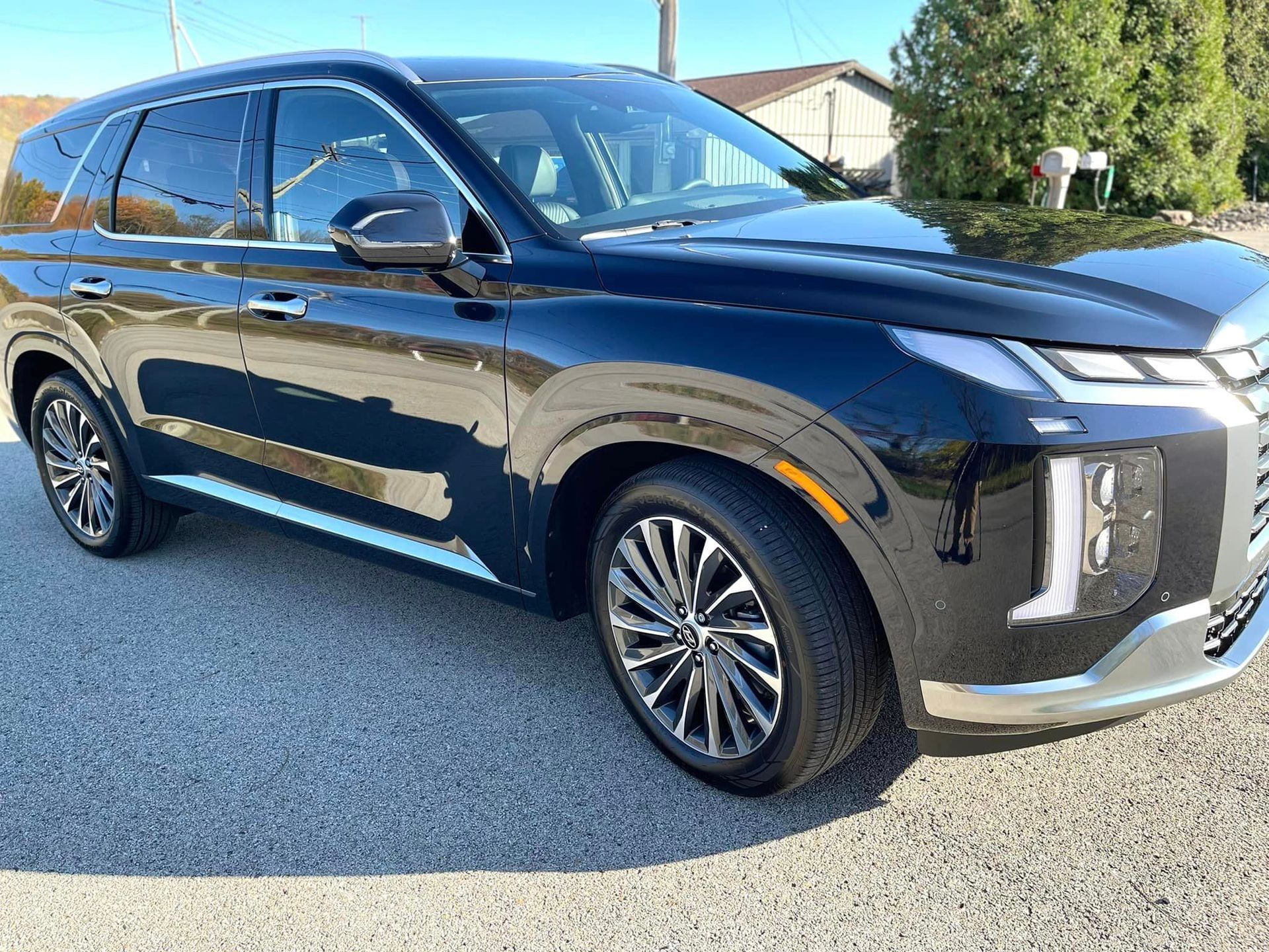 a black hyundai palisade is parked on the side of the road .