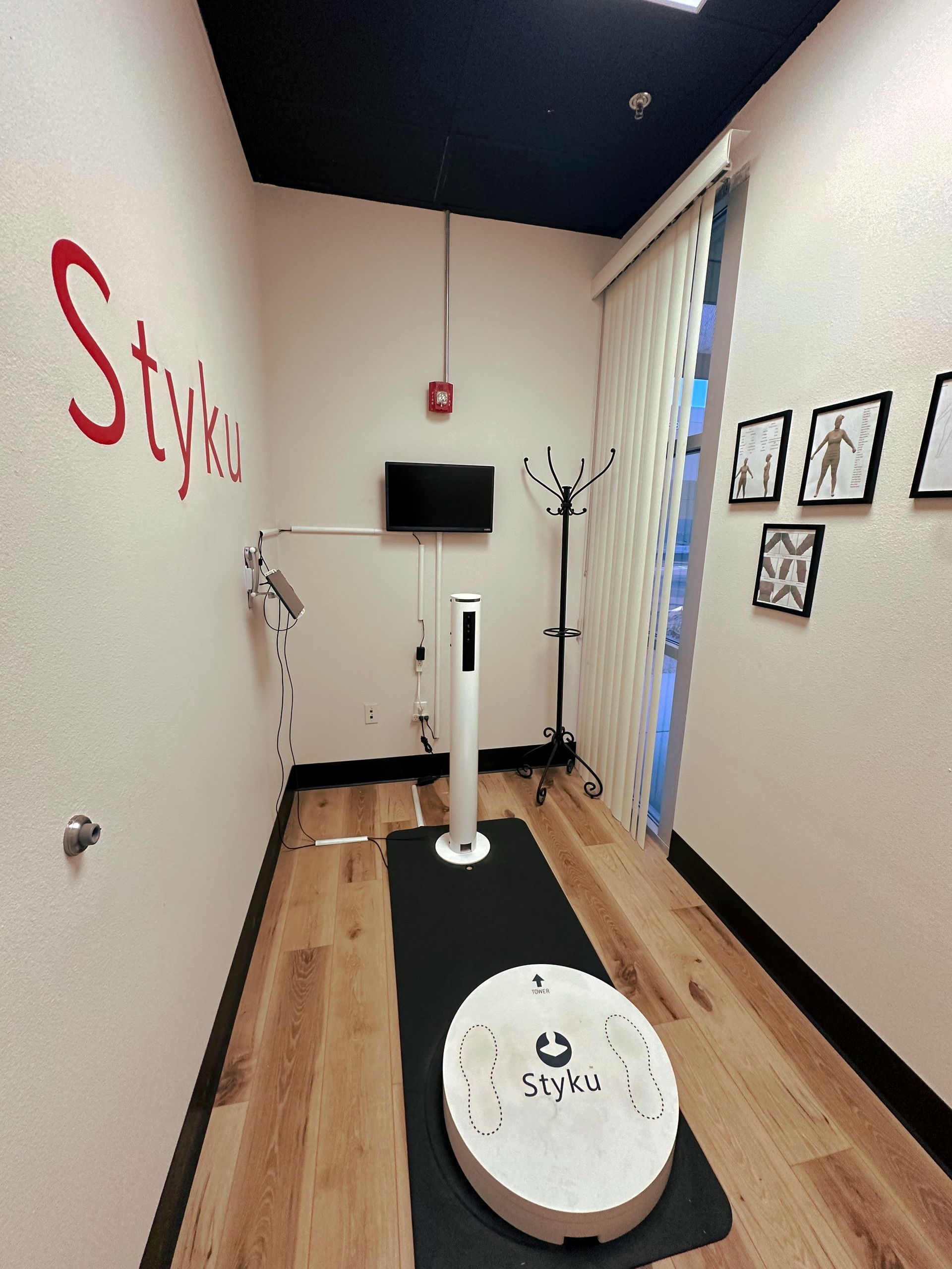 3D Styku Body Scan