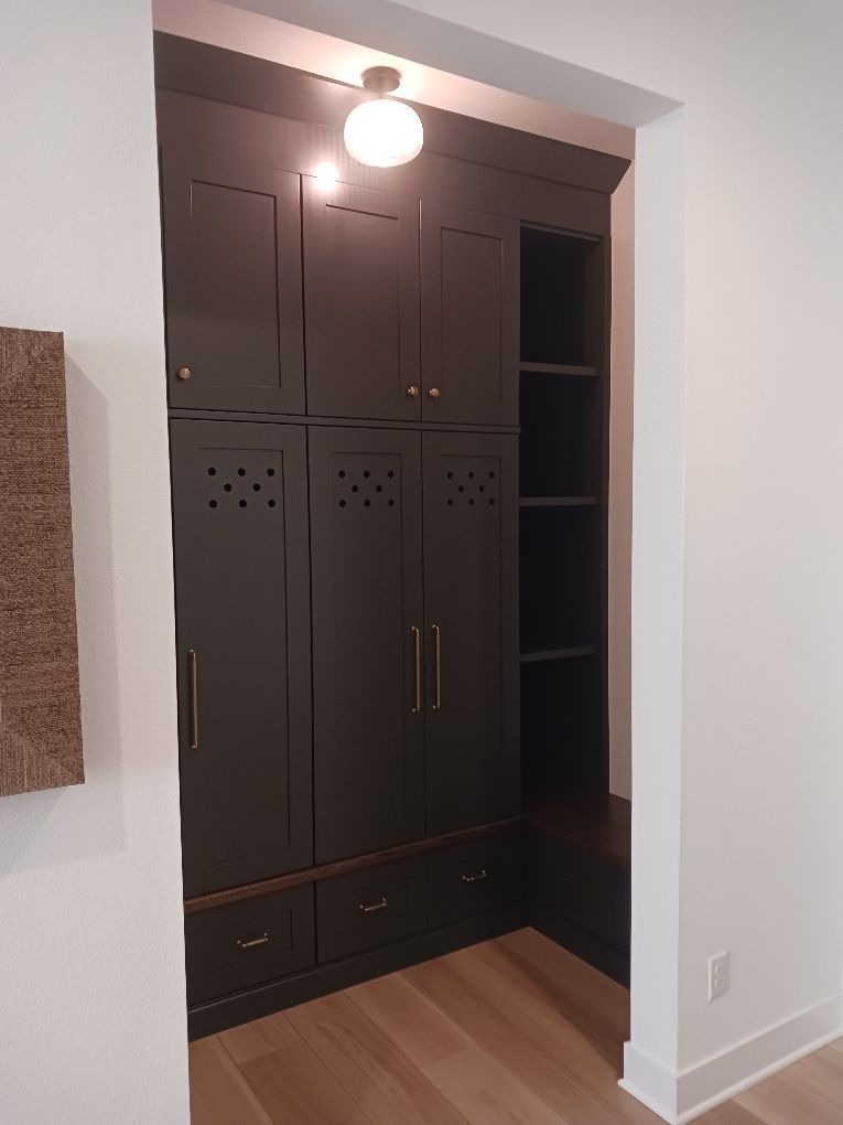Dark built-in wardrobe and open shelves in a small hallway under a ceiling light.