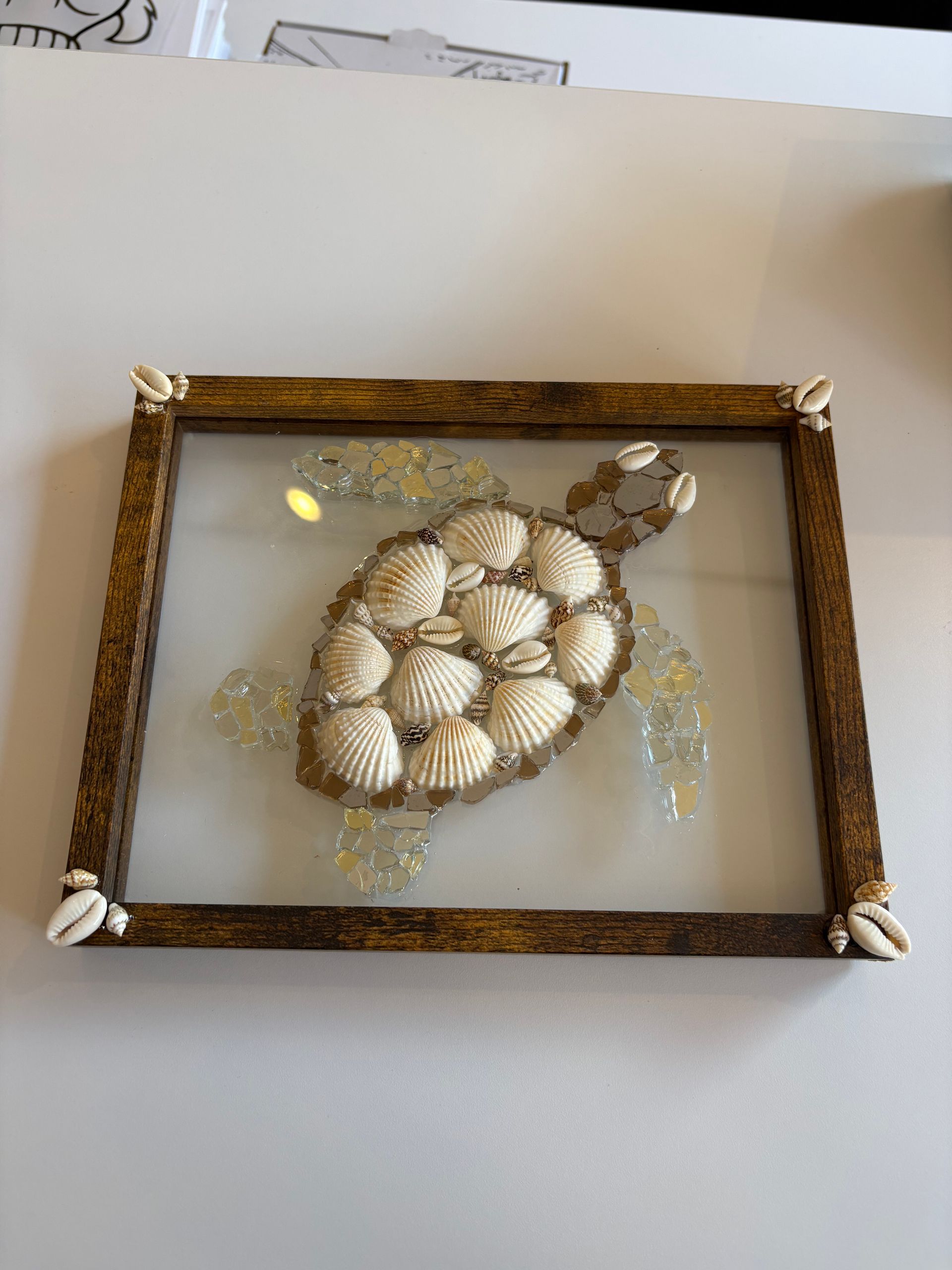 Framed seashell turtle wall art with gold accents on a light wall