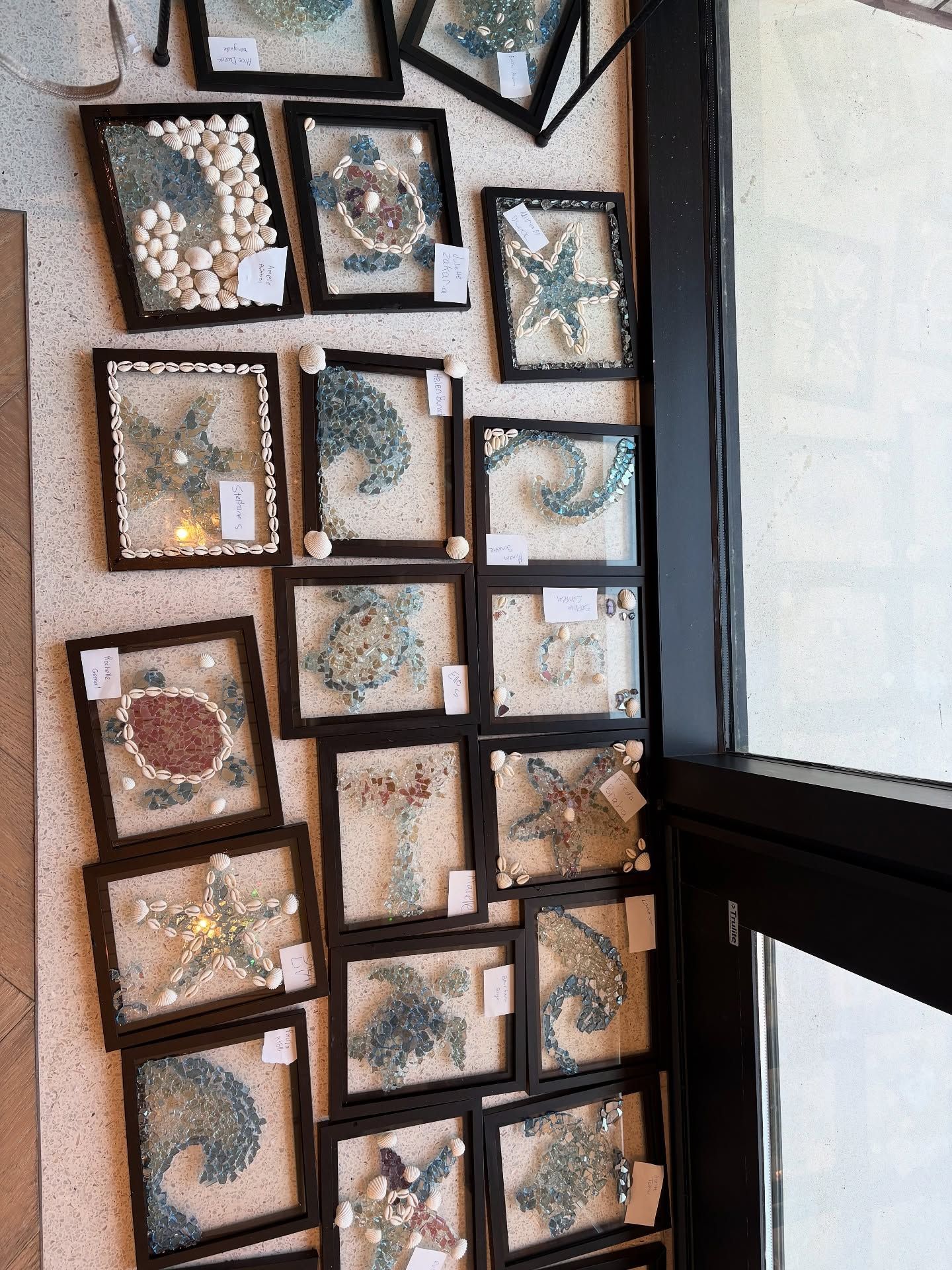 Framed seashell and coral art hanging in a grid on a wall beside a window