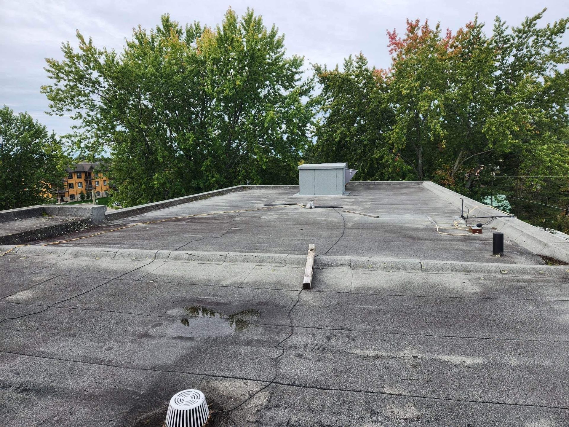 Un toit avec un drain dessus et des arbres en arrière-plan.