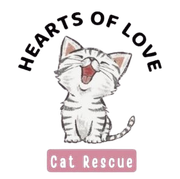 A logo for Hearts of Love cat rescue A logo for Hearts of Love cat rescue