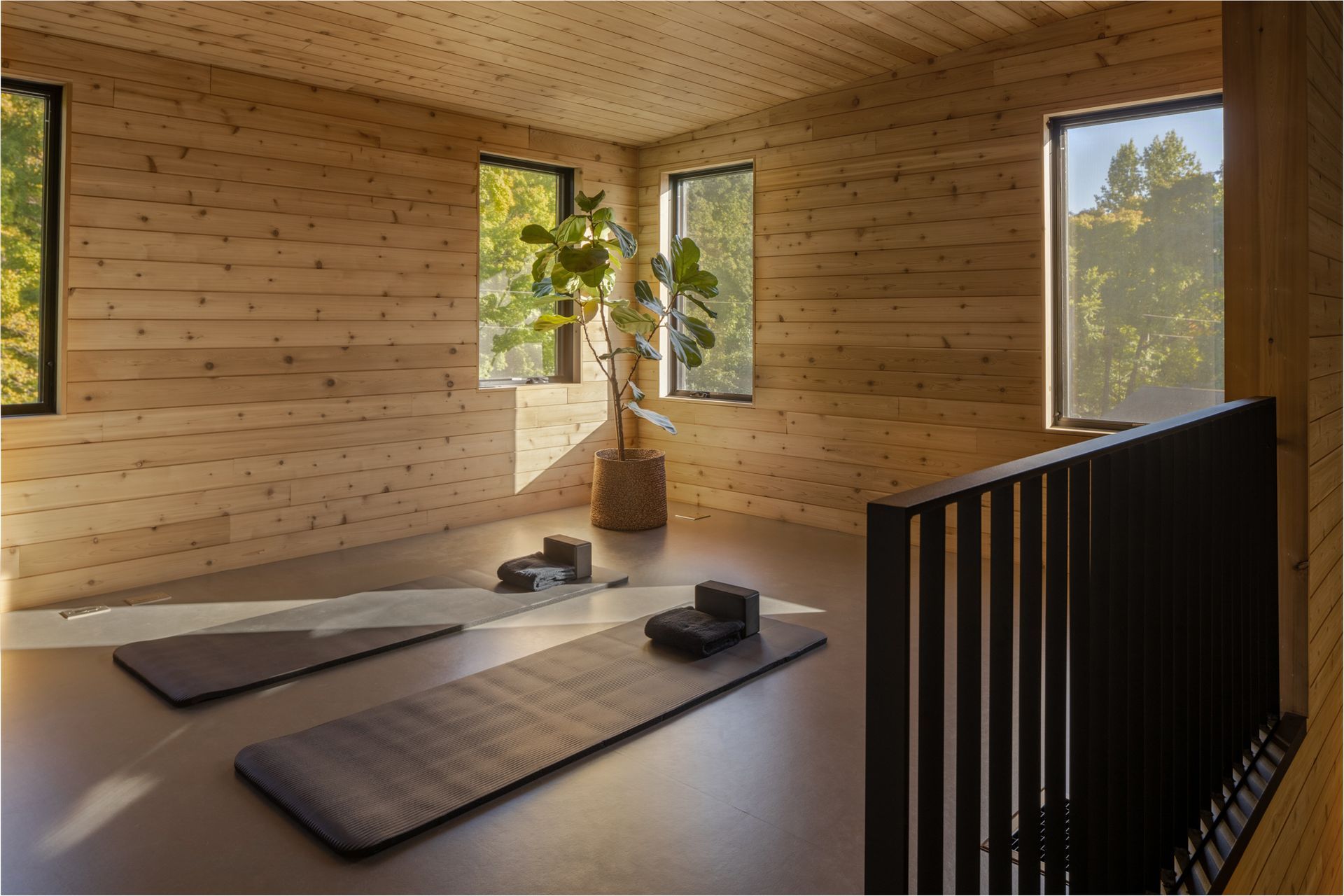 Wooden-walled yoga room with mats, blocks, a plant, and sunlight streaming through windows.
