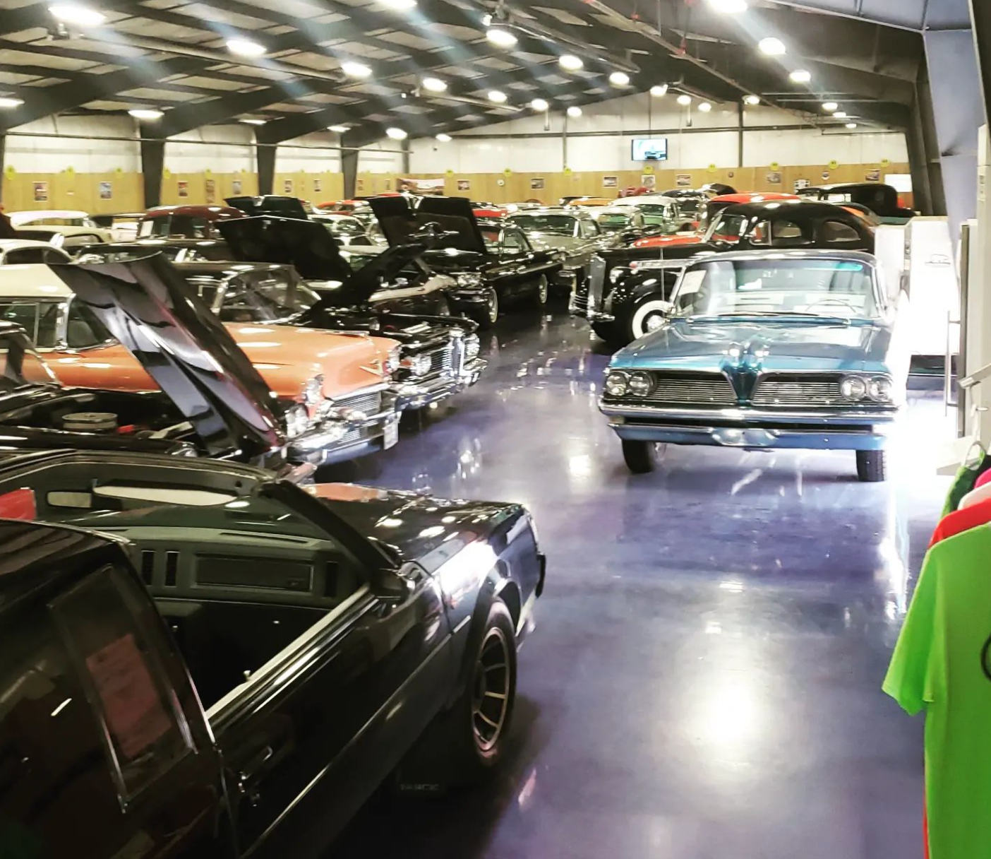 Cars parked in a large showroom. Many classic cars in rows, with some hoods open. Blue and black cars prominent.