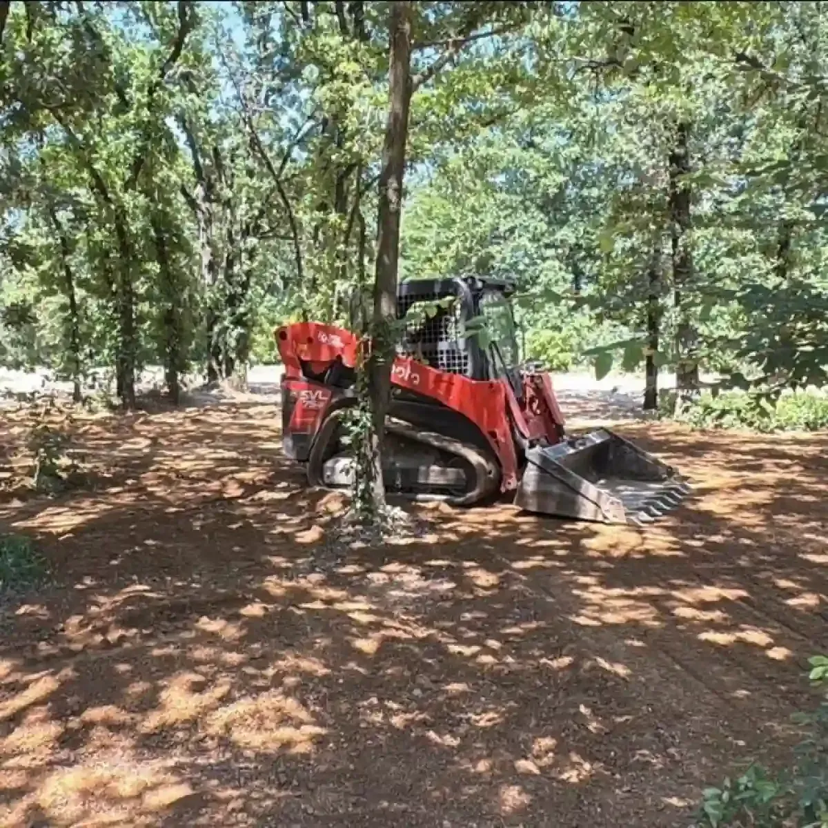 Red tractor with front bucket parked among trees in a sun-dappled wooded area.